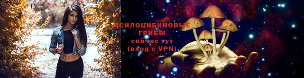 бошки Арсеньев