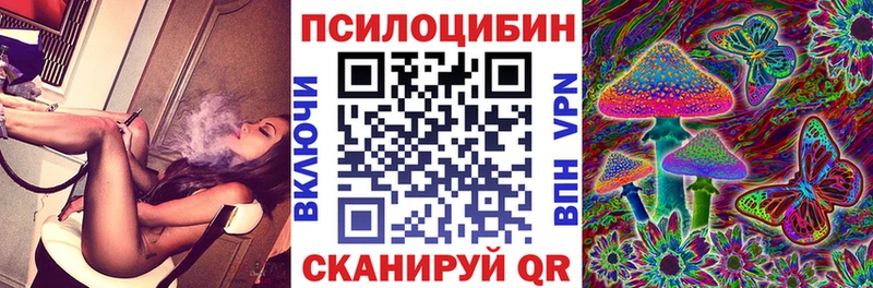 Купить  Ветлуга  Псилоцибиновые грибы мицелий 